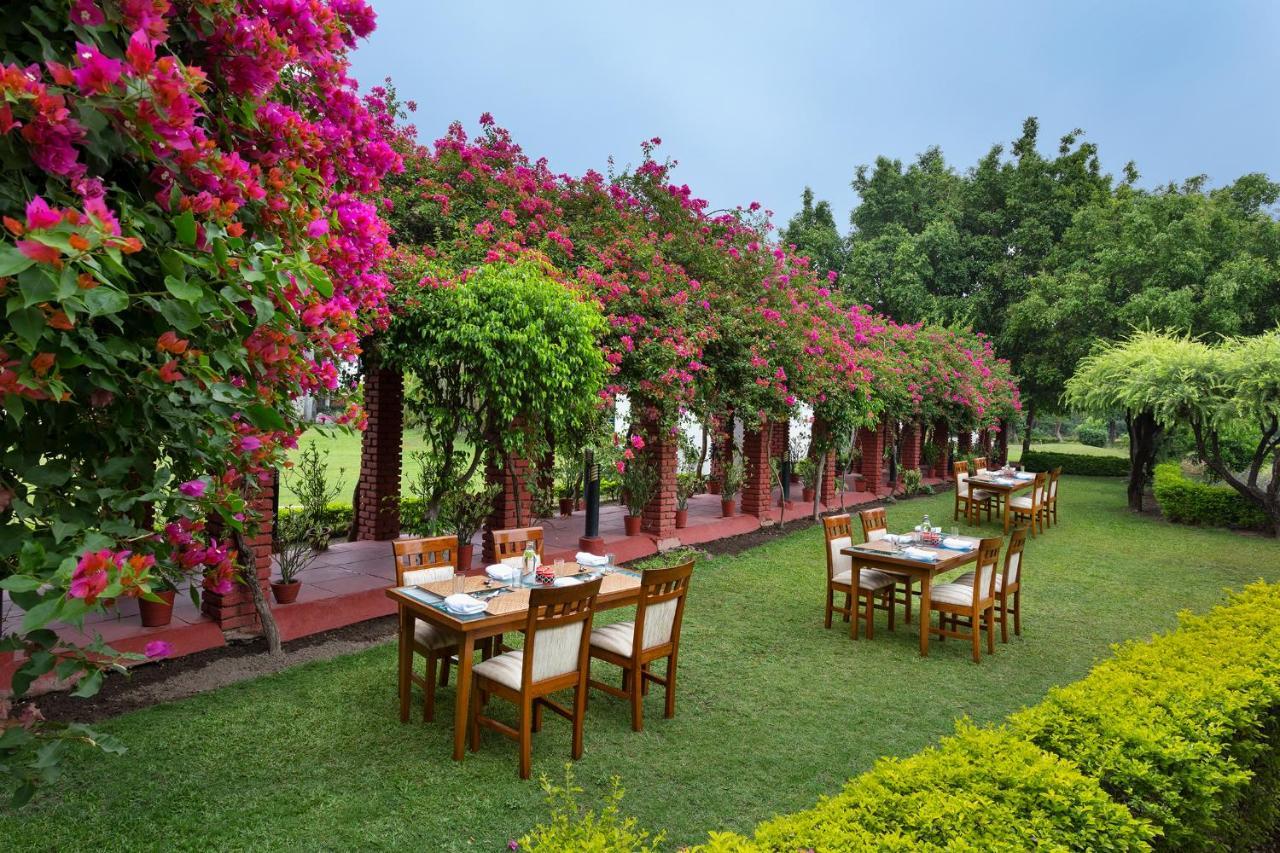 Naturoville Wellness Resort Rishikesh - Surrounded By Nature, Rooted In Wellness Doiwala Exterior foto